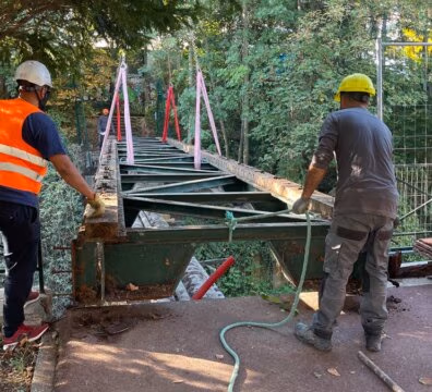 Dépose de l'ancienne passerelle de l’Abreuvoir à St Maurice (94)